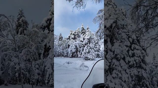 Сахалин. Гора Быкова | 2023. Поездка на снегоходах.