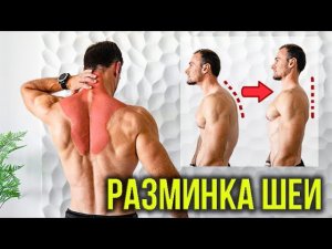 Лучшая РАЗМИНКА ШЕИ перед тренировкой!