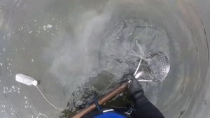 Пляжный КОП - добиваем ПЛЯЖ после ЭКСКАВАТОРА | Рекордное количество МОНЕТ