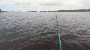 Рыбалка на форель! Часть вторая.