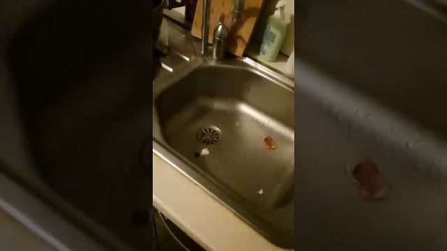 Как устранить неприятных запах из сливного отверстия на кухне? смотреть онлайн