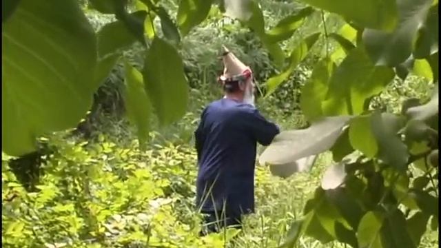 Суфийская система дыхания Нурсафардийя смотреть онлайн