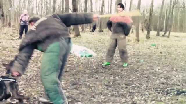 Атаки собак. История одного занятия за 3 минуты. смотреть онлайн