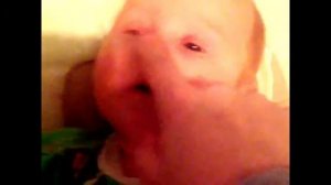 Карапуз агукает