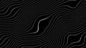 Чёрно-белые  линии видеофон,футаж /background, futage black and write  lines