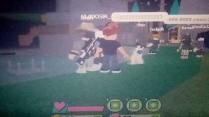 VID_20221103_173120.3gp