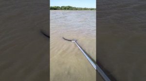 невероятная рабалка на тереке дагестан