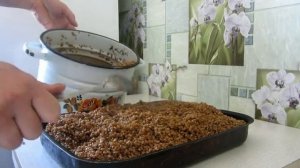 какая должна быть влажность зерна при выращивании зернового мицелия вешенки
