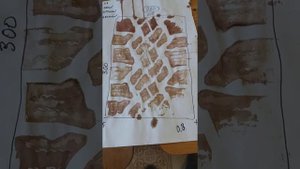 Пятно контакта колеса при различном давлении