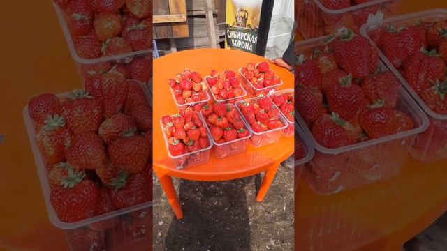 Владивосток навруз байрам 2019 поселок канал 49 смотреть онлайн