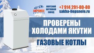 Газовый котел Арктик (энергонезависимый)