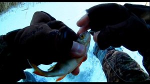 Секреты ловли окуня на мормышку. Зимняя рыбалка.