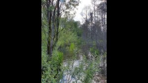 Удинск лето 2022