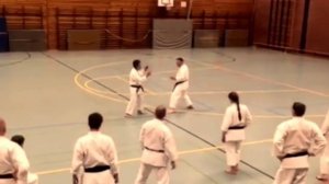 Kawasoe Sensei, JKA Karate Seminar, Germany 2016, Shotokan Kyokai Berlin, www.shotokan-berlin.de