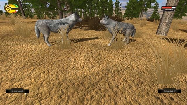 Общаемся с Волками - WolfQuest #4