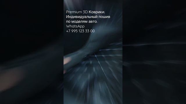 Коврики из экокожи #3dковрики #3дковрики #3dковрикиизэкокожи #коврикиизэкокожи #коврики #toyotarav4