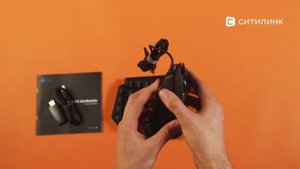 Обзор комплекта GameSir-VX для PlayStation 4/PC/Xbox/Nintendo Switch | Ситилинк