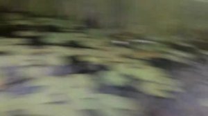 лодочный мотор-болотоход из бензокосы