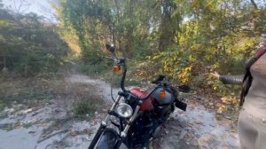 Обзор на Harley-Davidson Sportster XL1200X Forty - Eight 2011 года