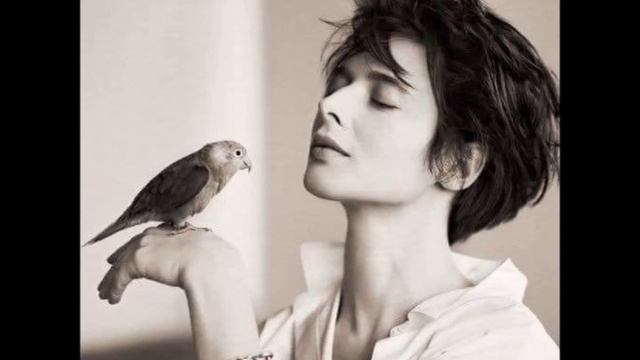 Franck Pourcel - Manchester et Liverpool смотреть онлайн