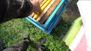 ТЕСТИРУЕМ ПЛАСТИКОВЫЕ РАМКИ ОТ БИНЕНХАУС