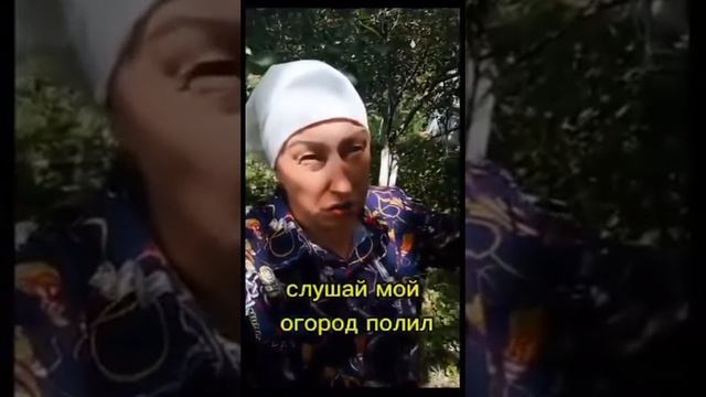 Сосед