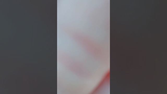 #мечтысбываются