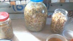 Три вида наживки из кукурузы дипую жидкостью.