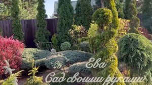 ✅ТОПИАРНЫЙ САД Осень ?ОБЗОР РАСТЕНИЯМ ДЛЯ ТОПИАР