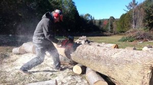 Husqvarna 450 Chainsaw Review - How to Cut Firewood