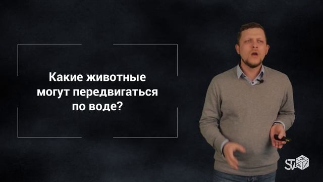 STA-модуль "...Гулять по воде". Часть II смотреть онлайн