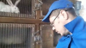 АВТОМАТИЧЕСКИЕ ПОИЛКИ ДЛЯ КРОЛИКОВ