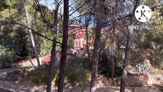 ОБЗОР ТЕРРИТОРИИ ВОКРУГ НАШЕЙ ВИЛЛЫ.