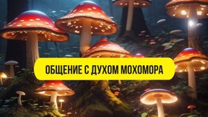 ОБЩЕНИЕ С ДУХОМ МУХОМОРА