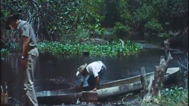 Virgin Sacrifice (1959) GRINDHOUSE смотреть онлайн