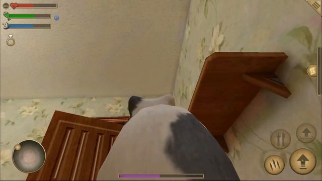 СИМУЛЯТОР МЫШИ #31 СЕМЬЯ ОХОТИТСЯ НА НАС в Mouse Simulator