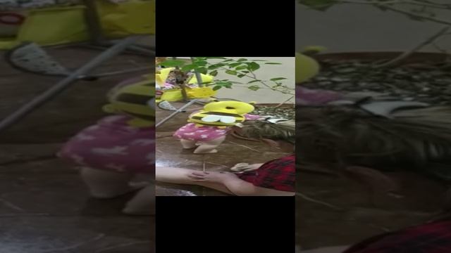 Ай-яй-яй 