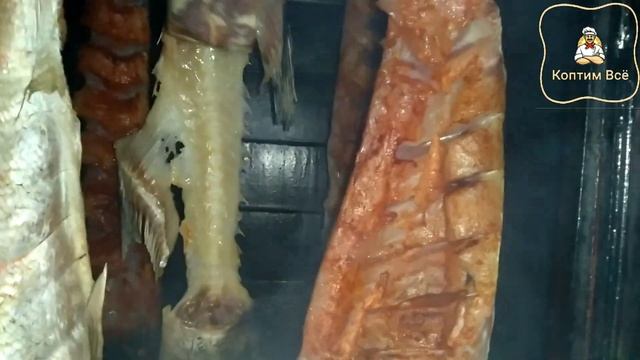 Сало холодного копчения. Копчение подчеревка холодным способом в домашних условиях.