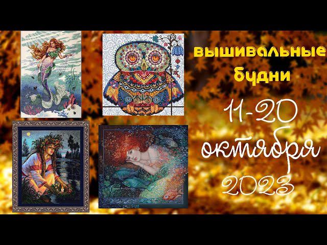 19/2023. 11-20 октября. Продвижения процессов. Обзор моих каланхое смотреть онлайн