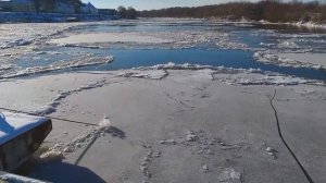 Первый лед на реке Клязьма. 24 ноября 2021 г.