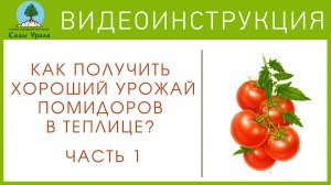 Как ухаживать за помидорами. Часть 1: Бор и кубатура