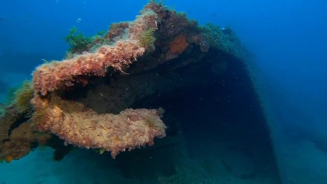 Прекрасный Подводный Мир смотреть онлайн