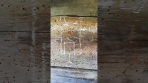 В чем отличие 2-х тактного от 4-х тактного двигателя?