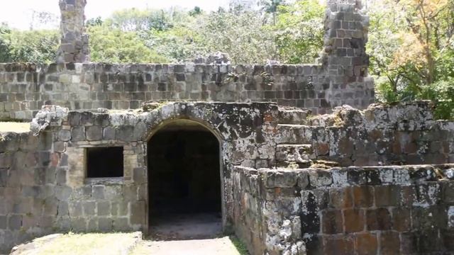 St  Kitts - Open Air Island Tour