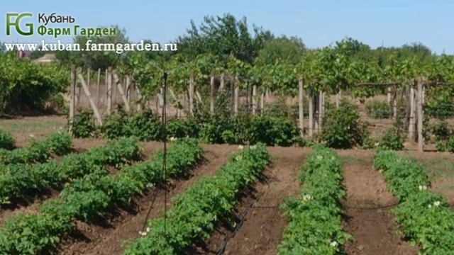 Спринклер серии 920-240 л/ч смотреть онлайн