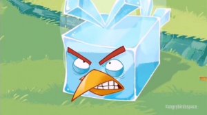 Злые Птички В Космосе