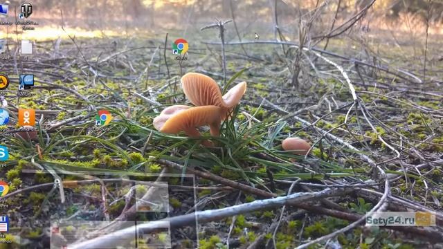 Как сделать ярлык одноклассников на рабочем столе смотреть онлайн