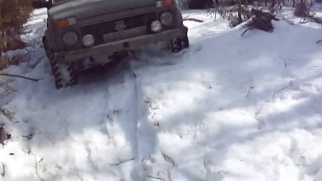 Нива рысь 2