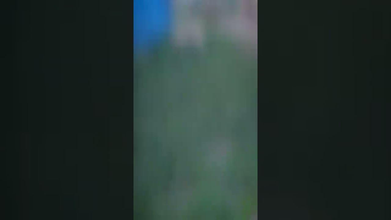 зоогостиница WISE ANIMAL
