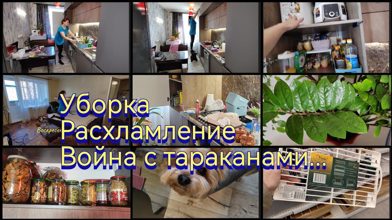 Покупки в Леруа Мерлен /Расхламление /Генеральная уборка в кухне / Борьба с тараканами